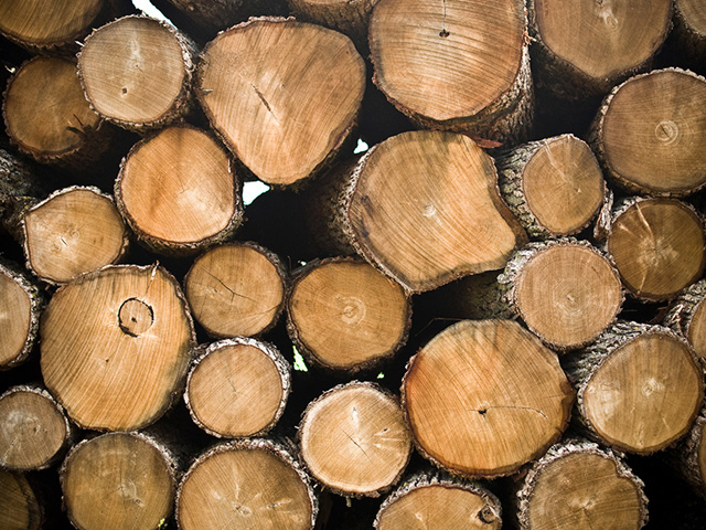 Controlled Sources for Sustainable Wood